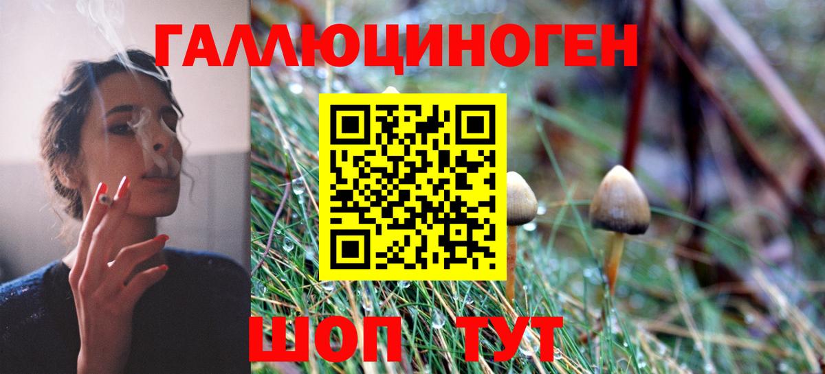 Псилоцибиновые грибы мухоморы  Вход с VPN  Псилоцибиновые грибы прущие грибы  Зеленодольск 